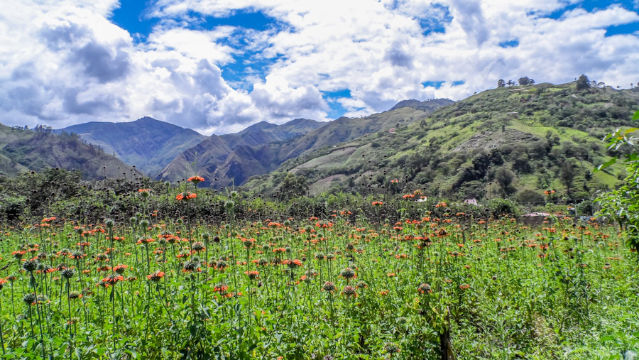 2014-12 - Equateur Vilcabamba-tout-equateur-tout-equateur (2)