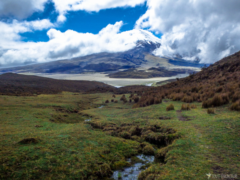 Le-Cotopaxi-depuis-les-landes-du-Rumi%C3%B1ahui.jpg?profile=RESIZE_930x