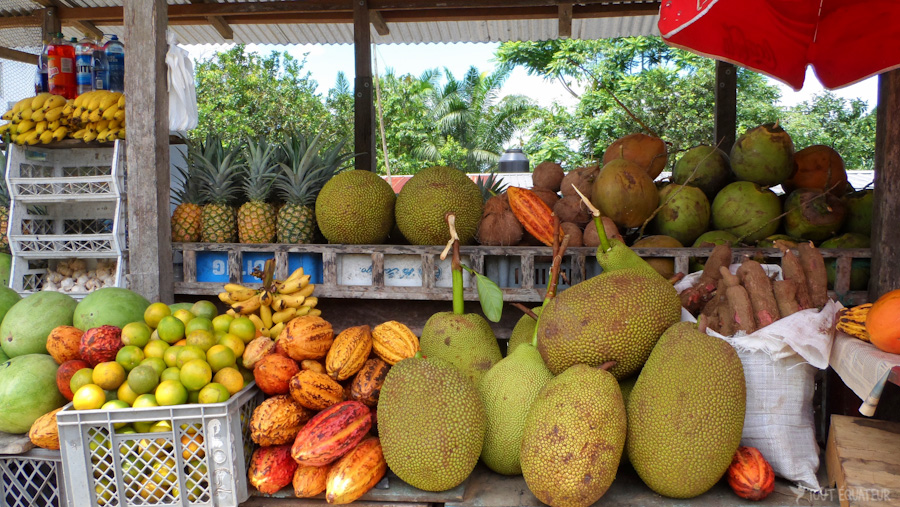 18-fruits-tropicaux-tout-équateur