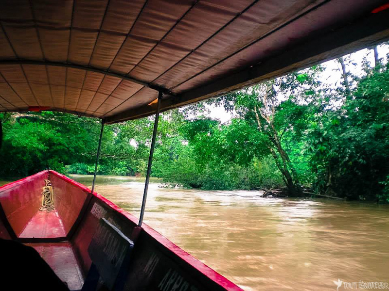 article-visiter-amazonie-tout-equateur-7