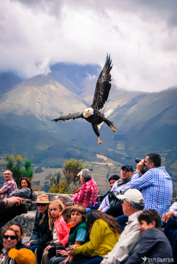 article-voyager-en-équateur-tout-equateur-3