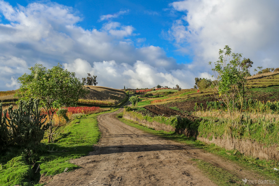 paysages et route équateur