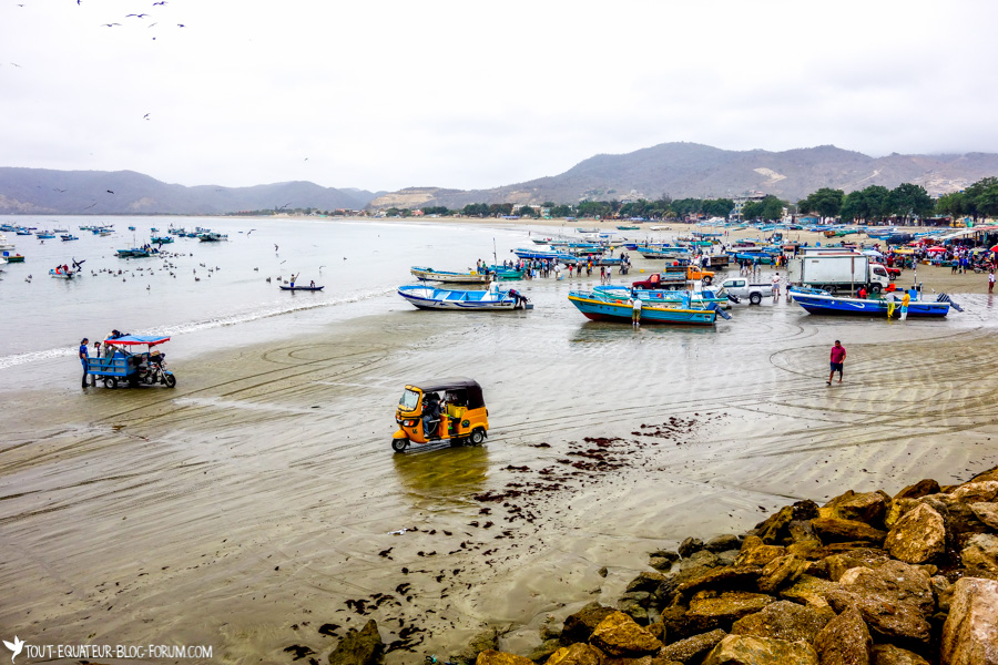 blog-costa-tout-equateur-5-of-9.jpg?profile=RESIZE_930x