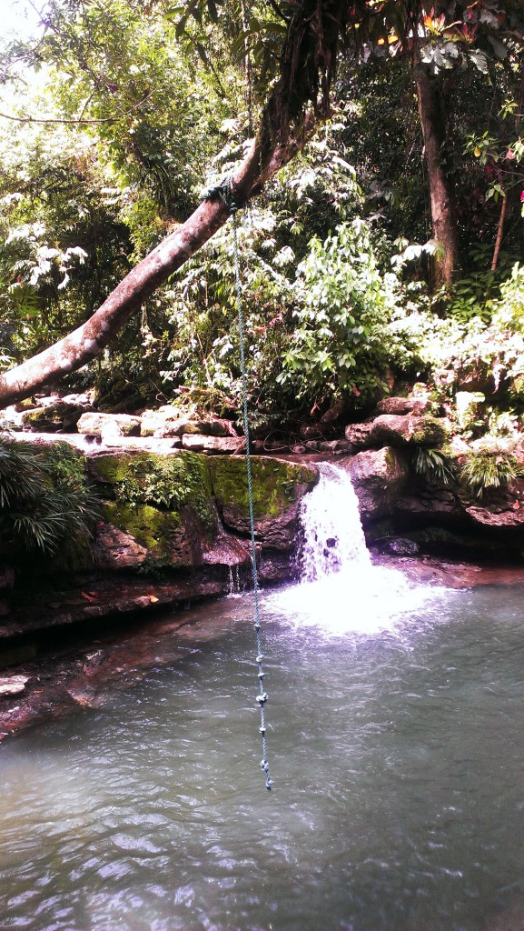 piscine naturelle