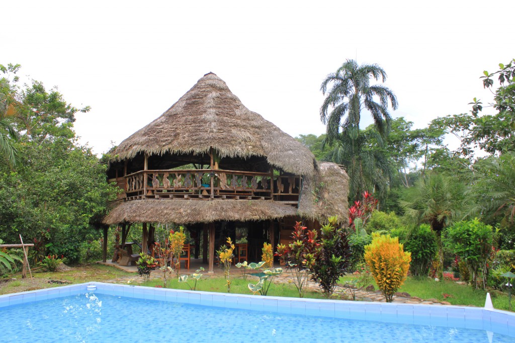 La réception et la piscine du lodge