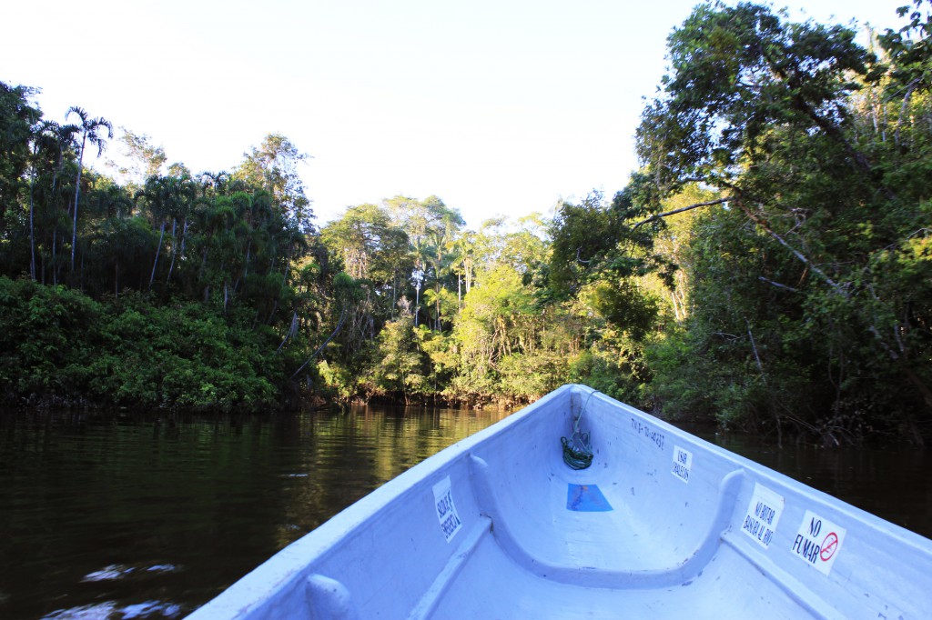 pirogue Cuyabeno rio