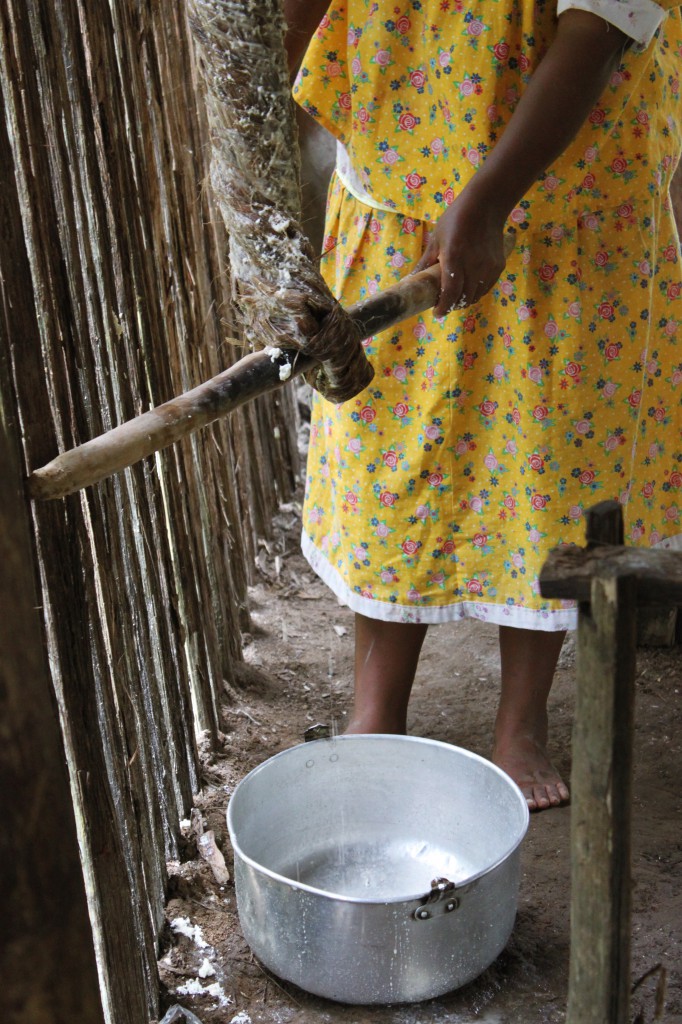 Avec le manioc râpé Mireilla extrait tout le liquide du Manioc