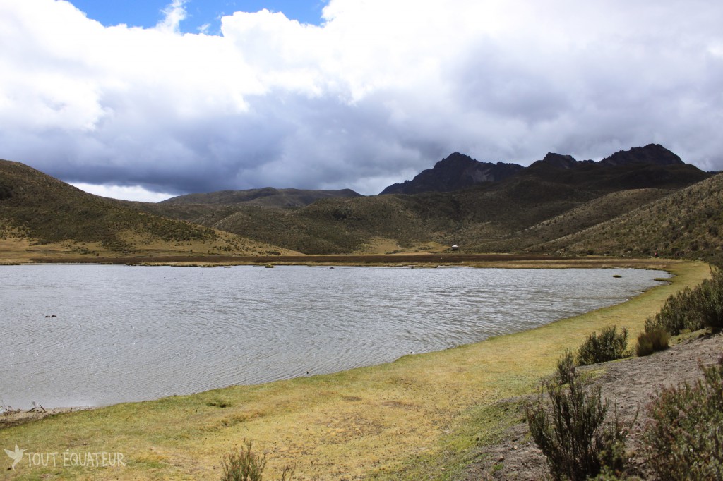 Cotopaxi