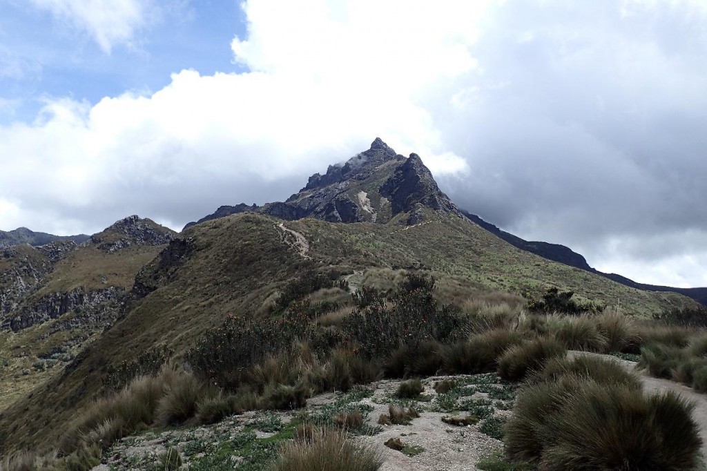 rucu-pichincha