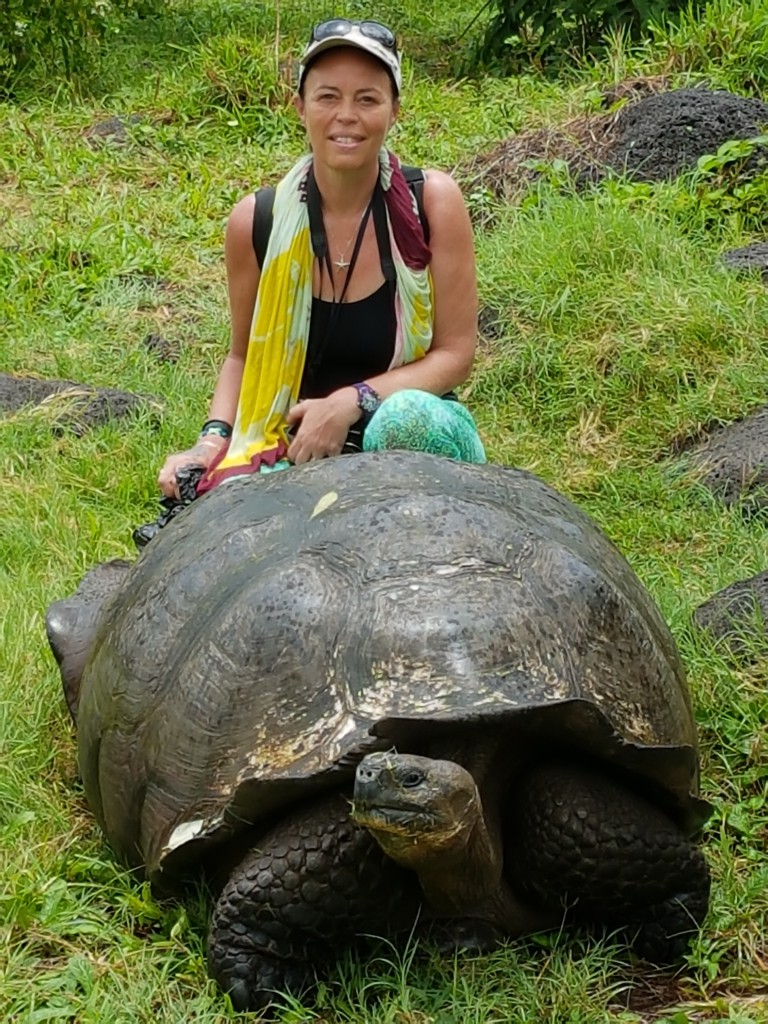 Santa Cruz Tortue Galapagos - Valerie Florval