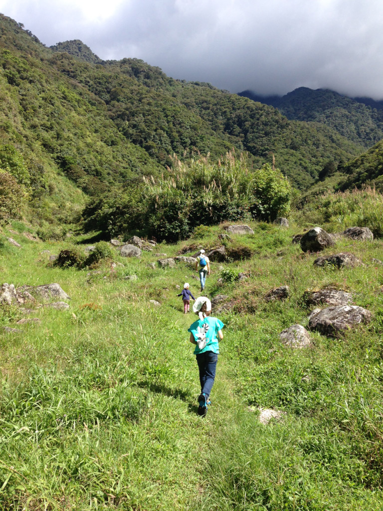 Baños - Naud 20