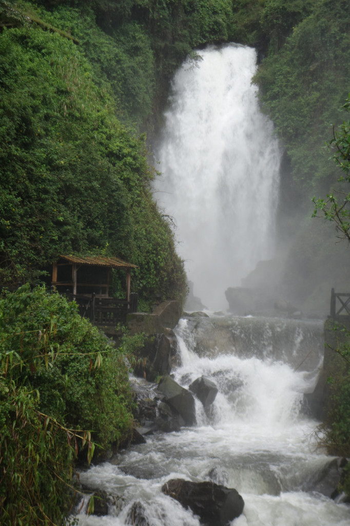 Otavalo 11 - Naud