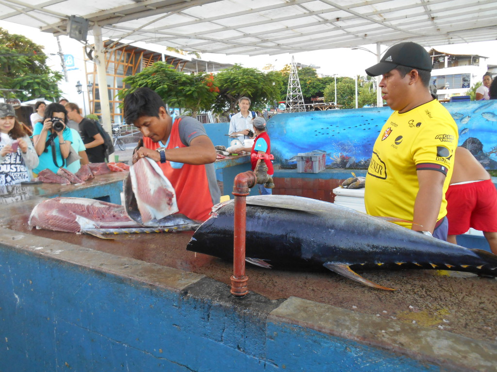 20170502 0463 Santa Cruz - Marché aux poissons