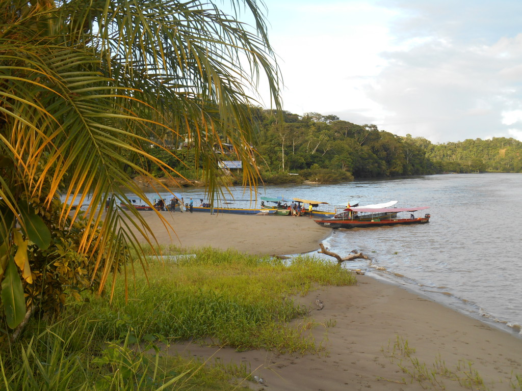 20170505 0737 Puerto Misahualli - Plage du fleuve