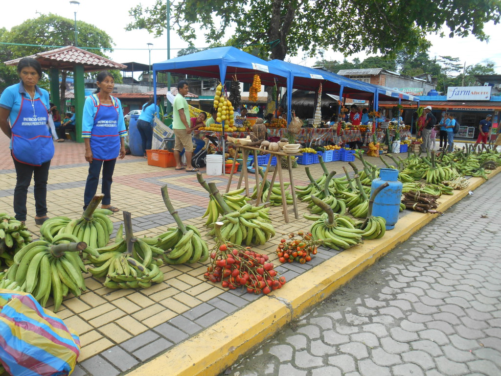 20170506 0775 Puerto Misahualli - Marché