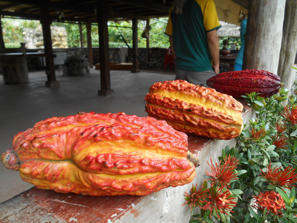 20170506 0811 Puerto Misahualli - Visite de la finca de cacao