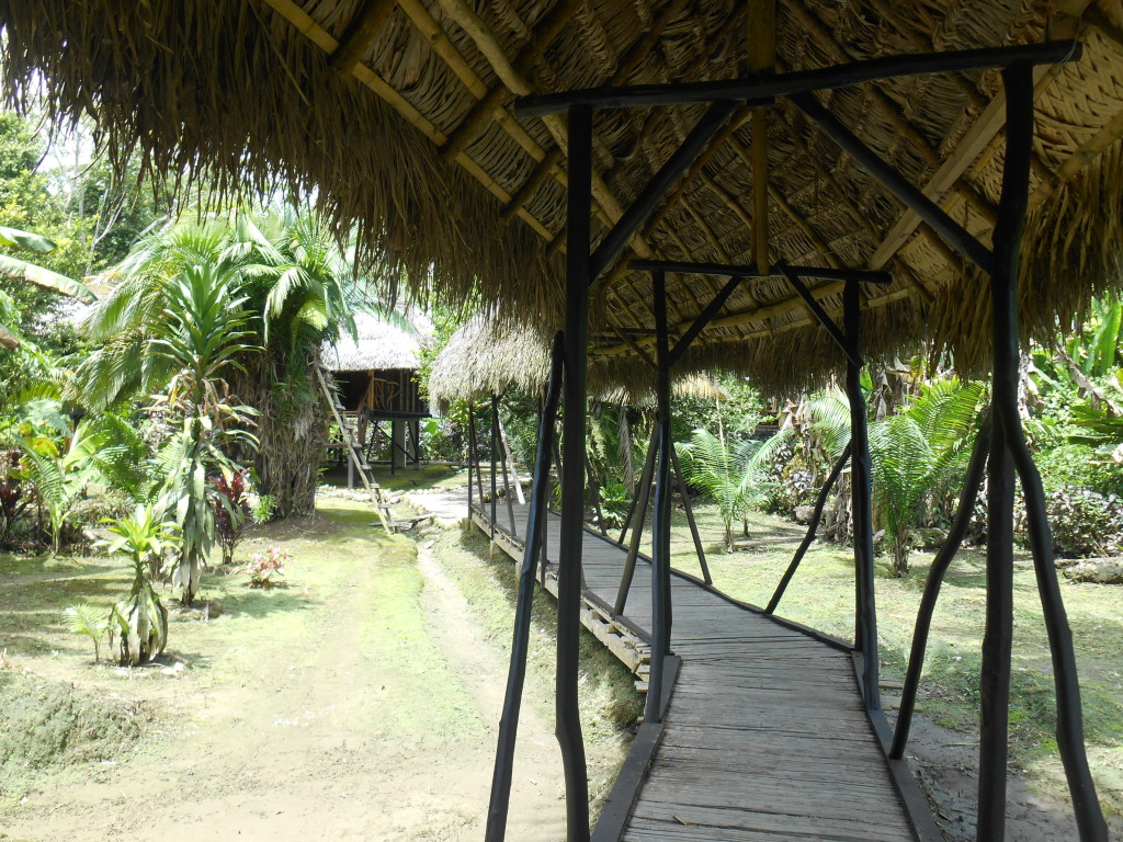 20170506 0863 Puerto Misahualli - Jungle Lodge