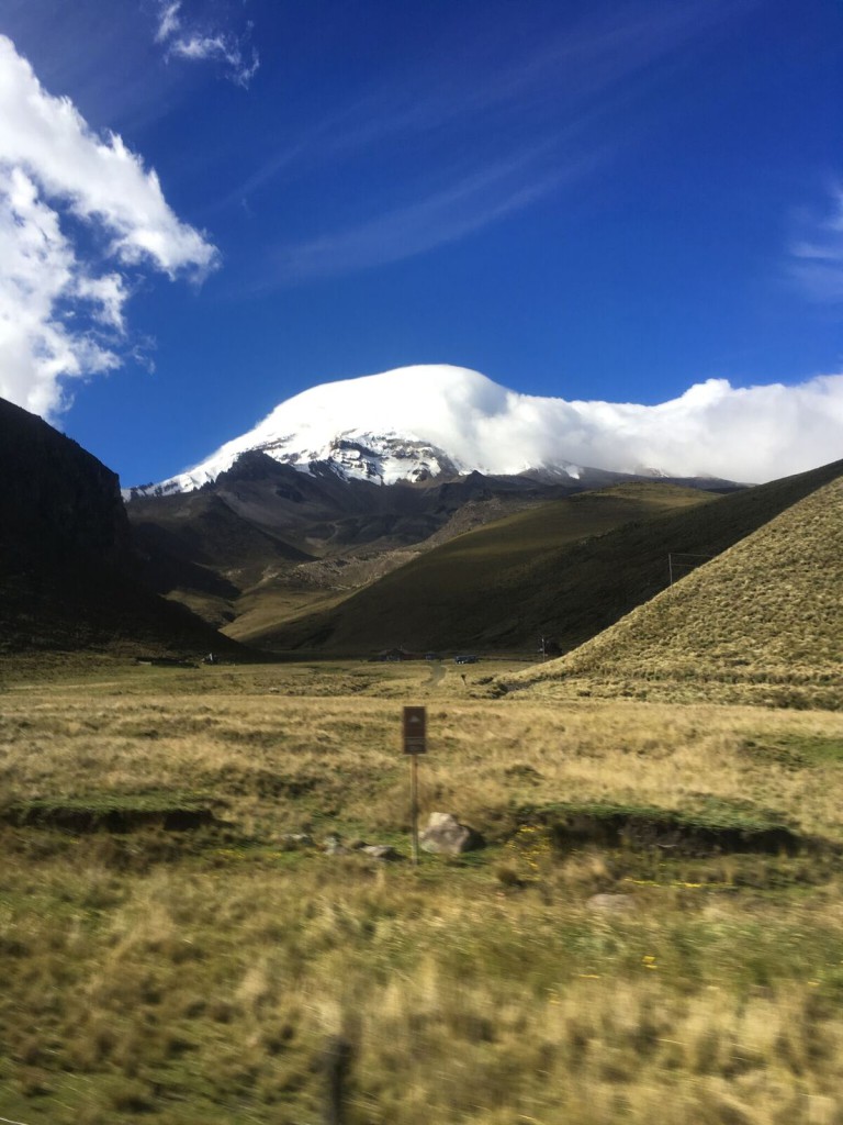 Bouvier Chimborazo 1