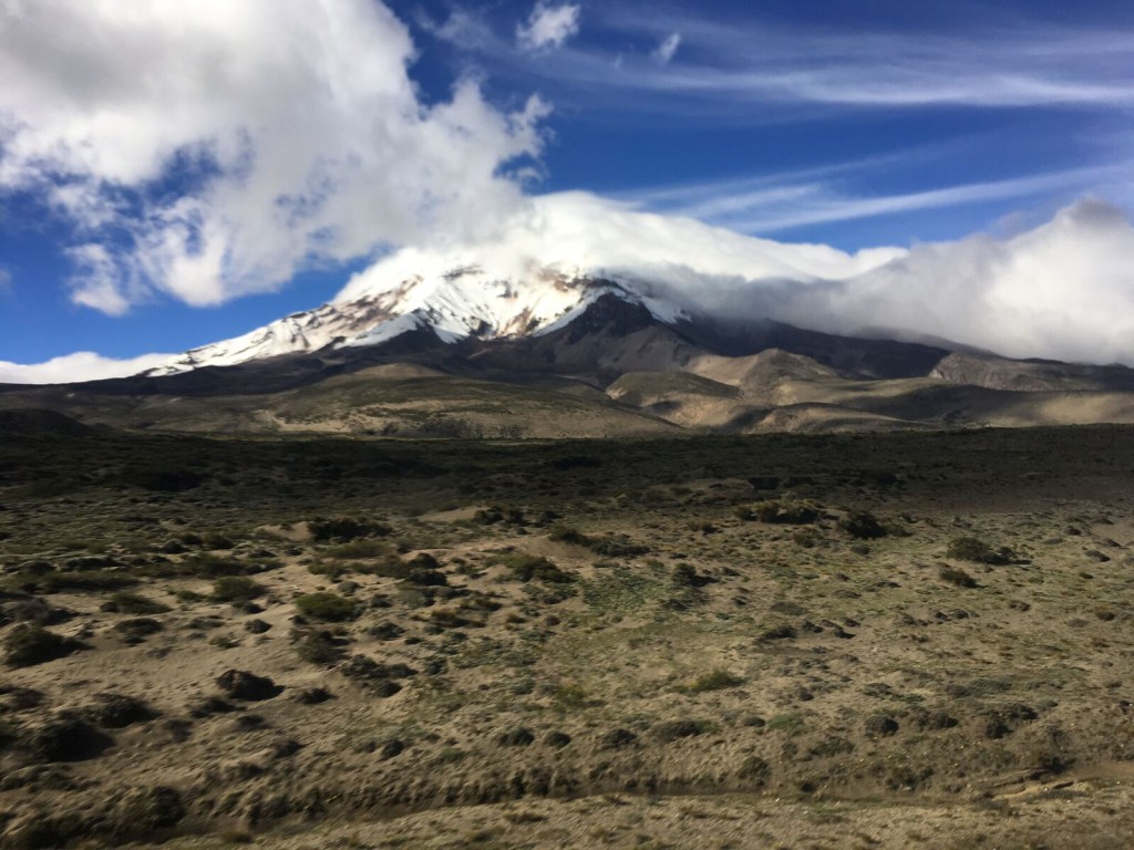 Bouvier Chimborazo 2