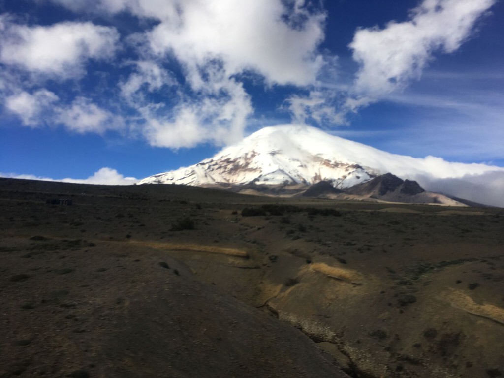 Bouvier Chimborazo 3