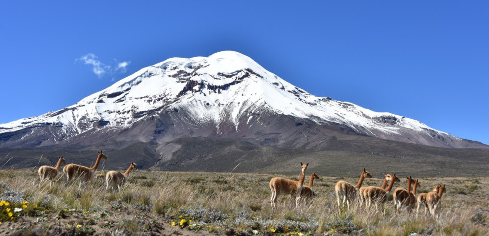 Chimborazo