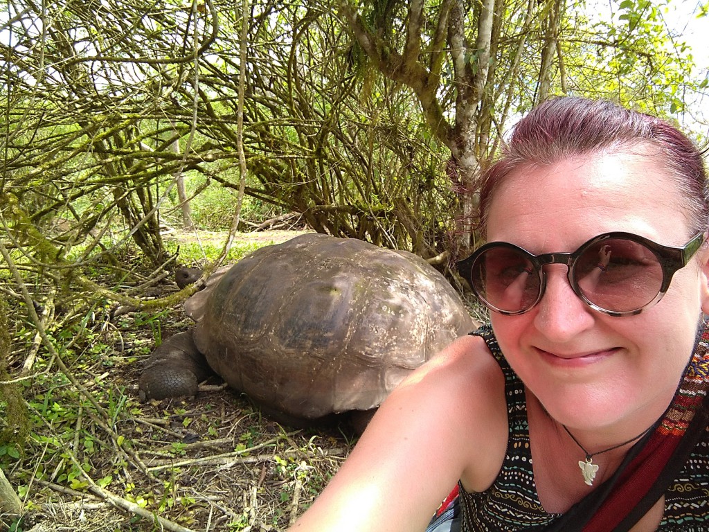 Mélanie Thiess - Galapagos Tortue géante