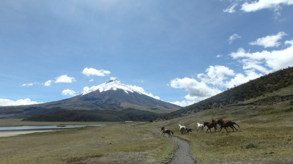 Cotopaxi Equateur