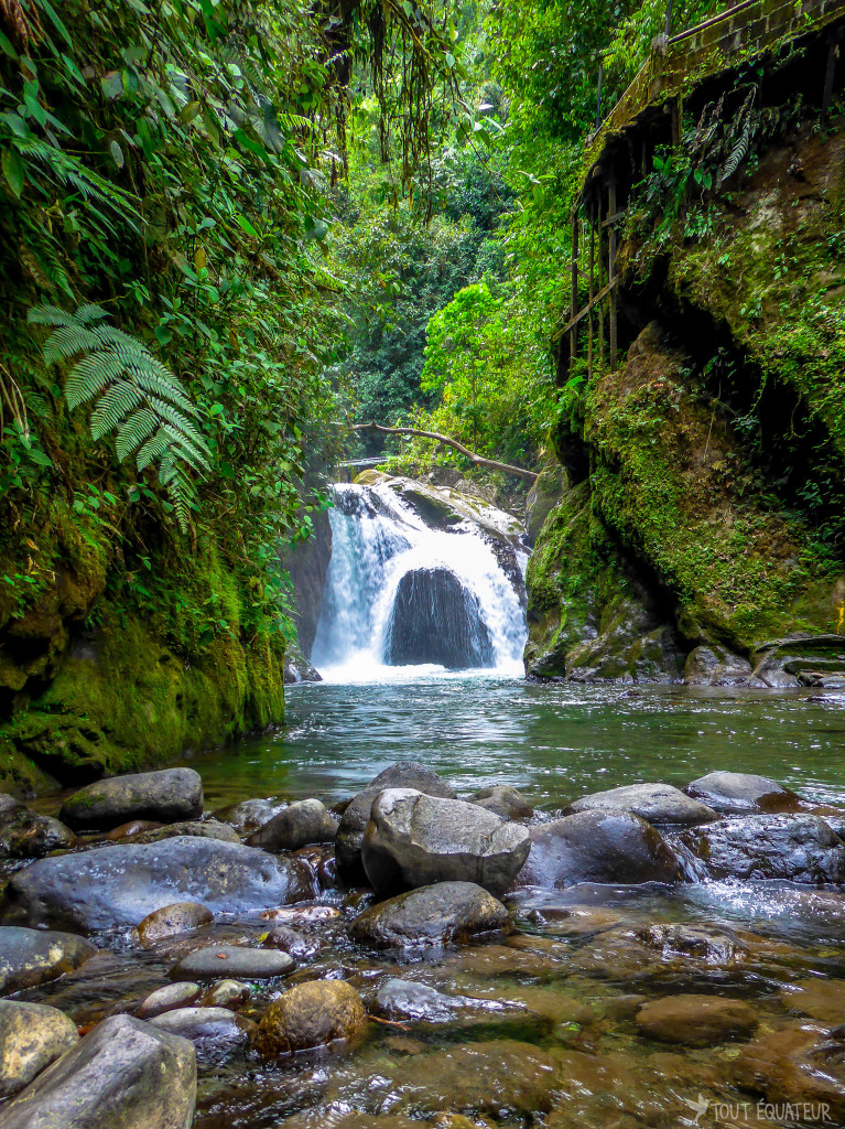 cascade-mindo-tout-equateur