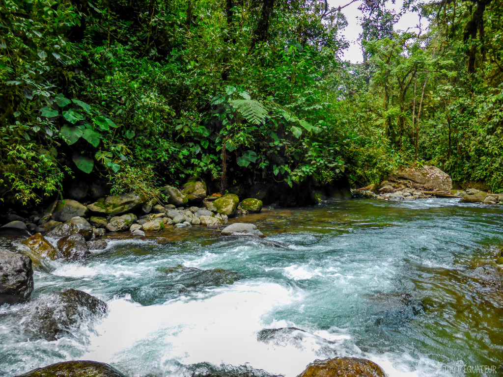 riviere-mindo-tout-equateur