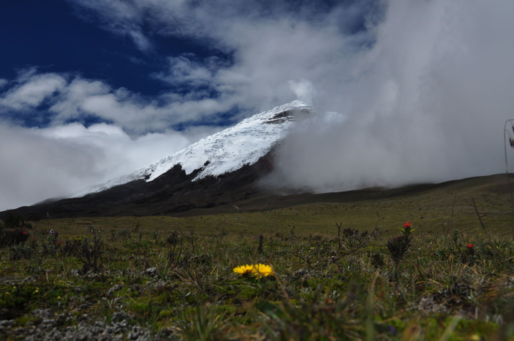 Ecuador2018 - 9