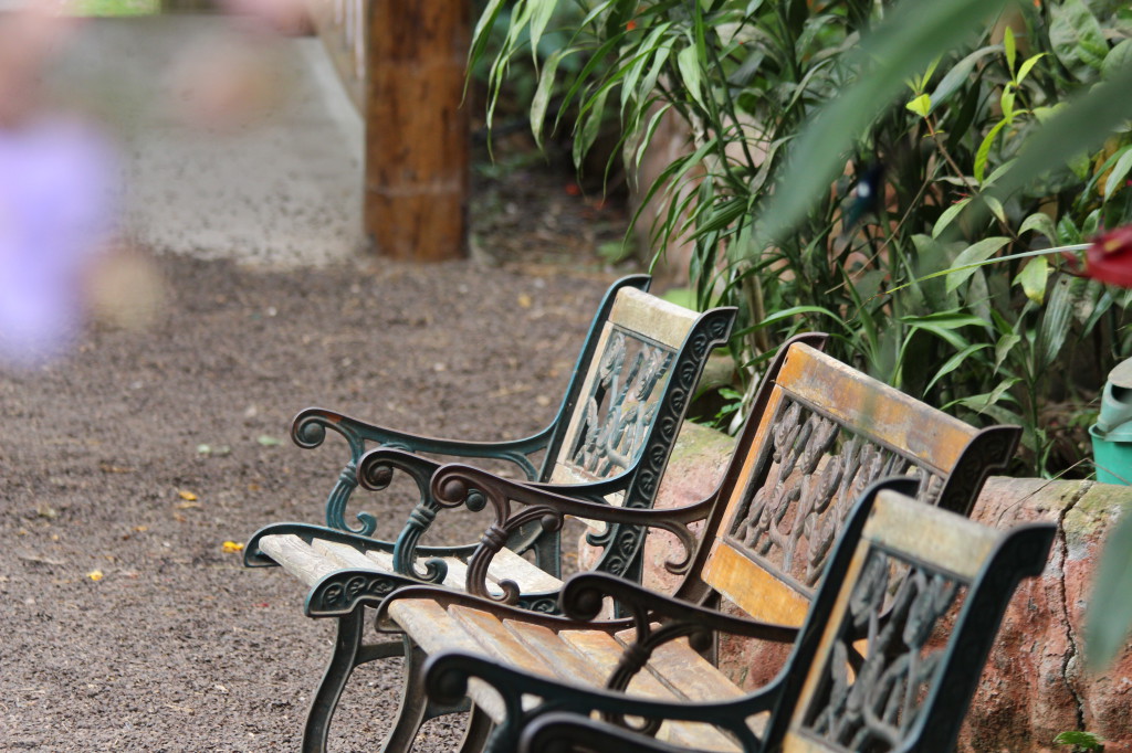 benches-in-mindo-ecuador_26915768397_o