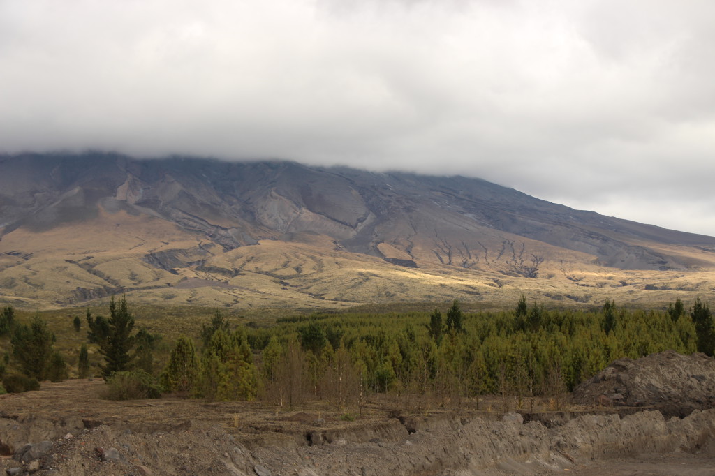 equateur_2017-09-26-348_41742555862_o