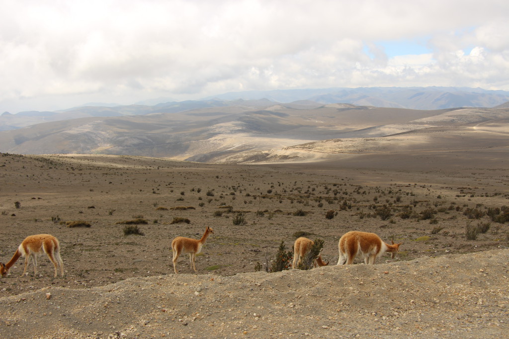 equateur_2017-09-29-118_26915797407_o