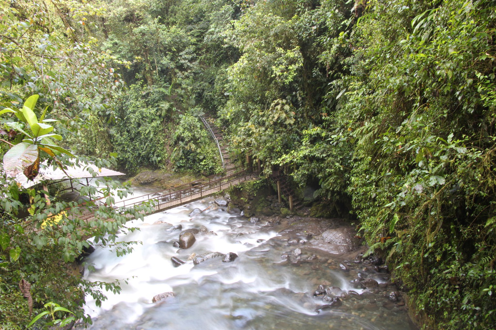 river-in-mindo-ecuador_40884585275_o