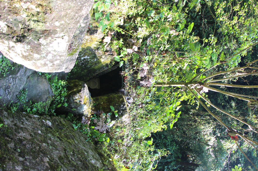 toilets-lost-in-the-tropical-forest---mindo-ecuador_26915749547_o