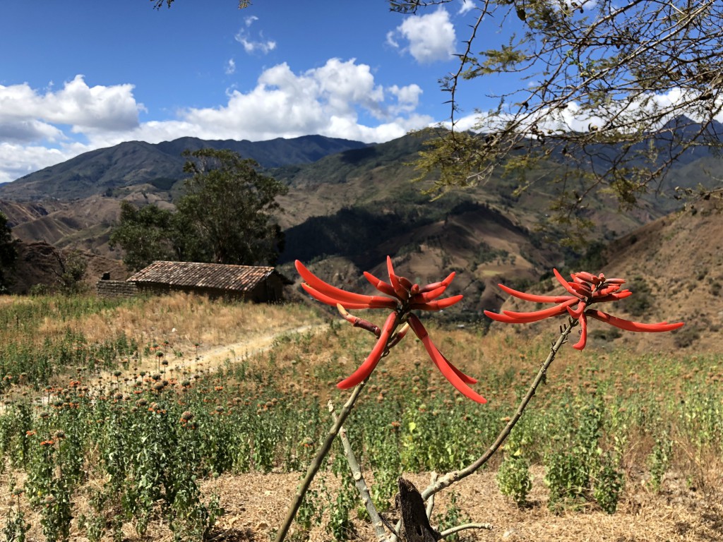 2. Vilcabamba - San José Trail