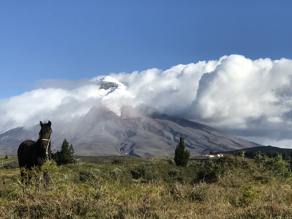 Equateur 02 COTOPAXI (11)