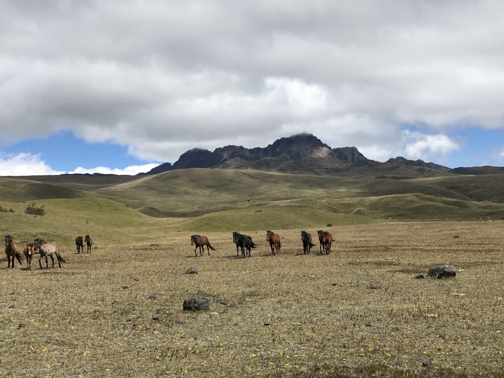 Equateur 02 COTOPAXI (38)