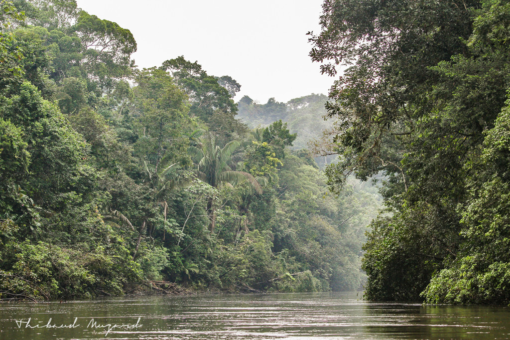 Rio Cuyabeno