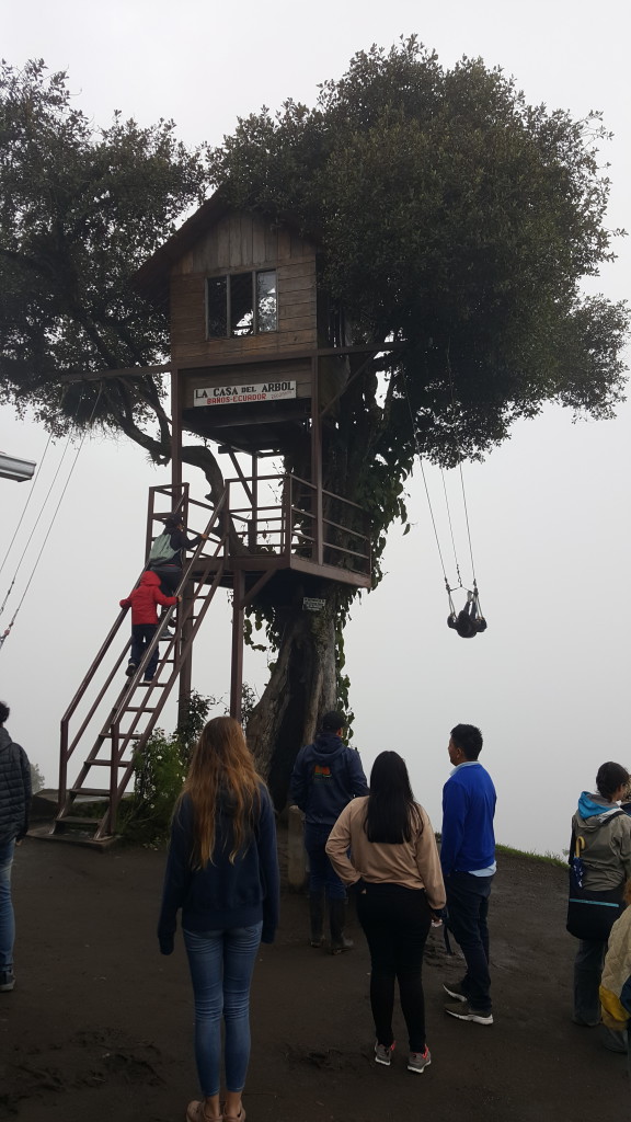 casa del arbol