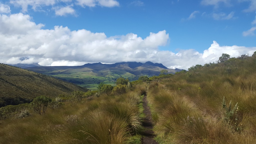 cotopaxi vu du pasochoa