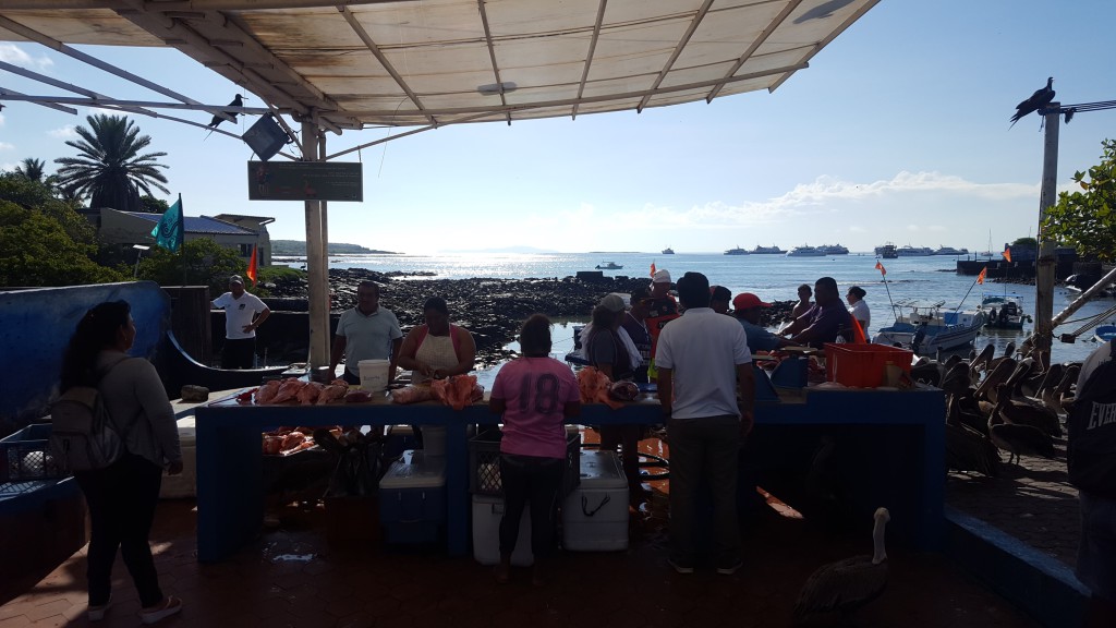 marché poisson isabela