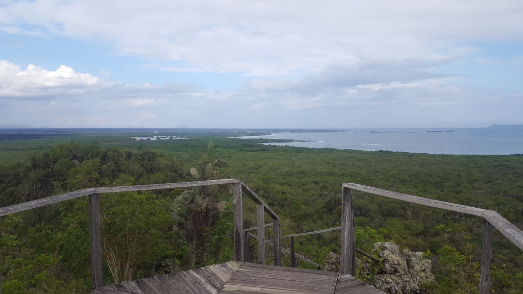 mirador muro lagrimas