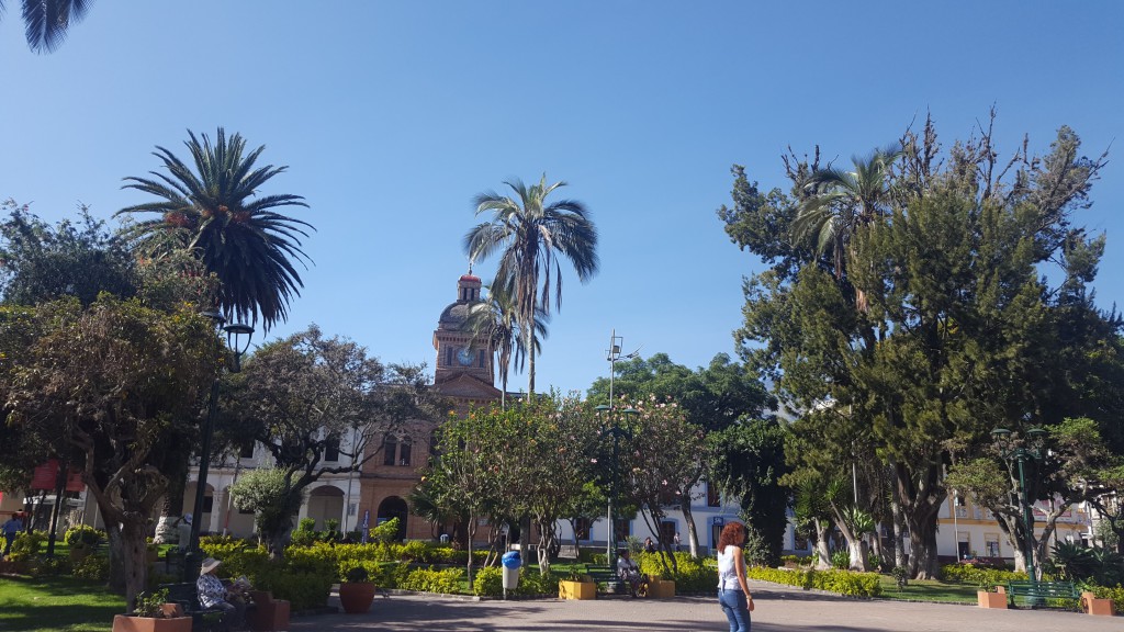 plaza ibarra