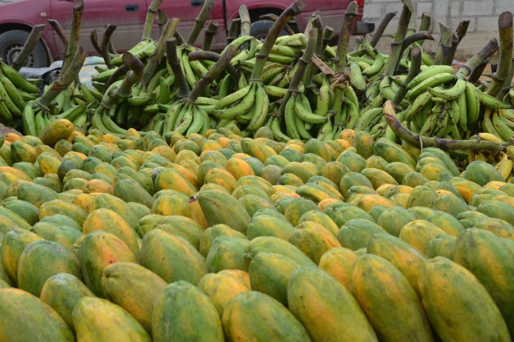 20 fruits marchés