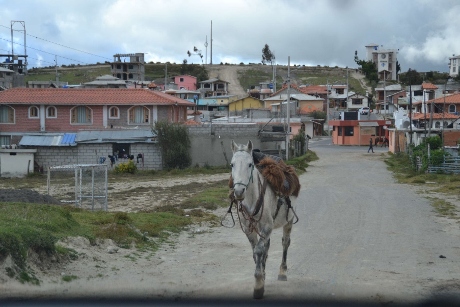 29-village-quilotoa.jpg?profile=RESIZE_930x