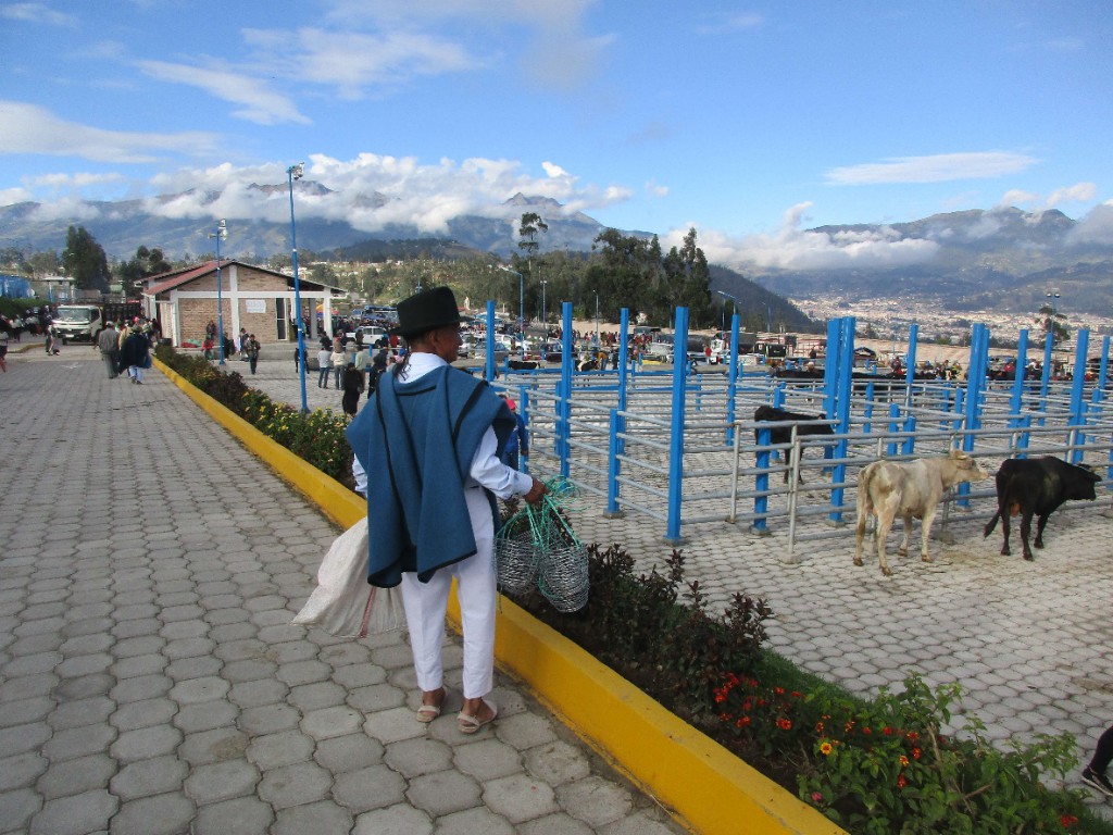 37-Otavalo-1024x768.jpg?profile=RESIZE_710x