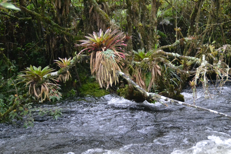 65-autour-ingapirca.jpg?profile=RESIZE_930x